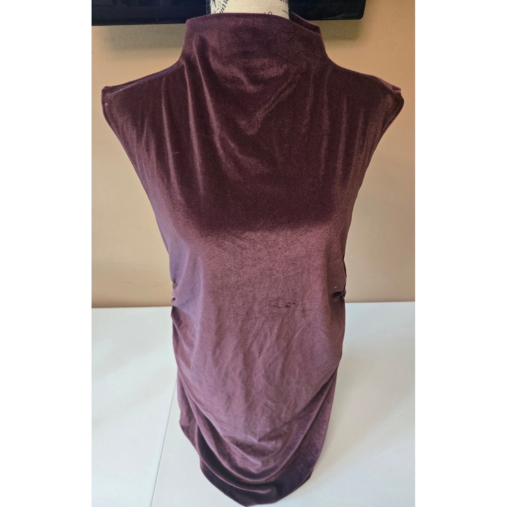 A New Day Womens L Burgundy Velvet Ruched Mini Dress Mock Neck Bodycon NWT